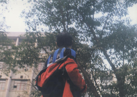 19.jpg (35202 ֽ)